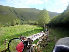 IMG_0437 IMG_0437