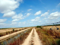 DSCN6829 DSCN6829