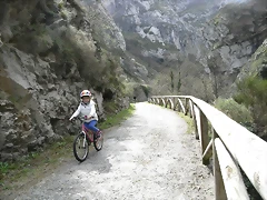 R0012340 R0012340