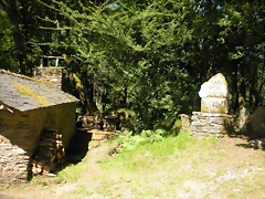 DSCN6594 DSCN6594