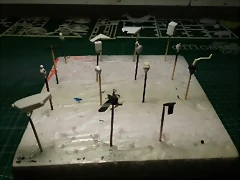 20190728_232147 20190728_232147