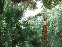 Zoológico 04-09-05 012 Zoológico 04-09-05 012