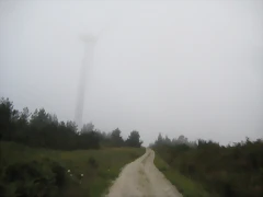 IMG_0220 IMG_0220