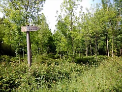 DSCN2442