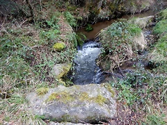 DSCN3003 DSCN3003