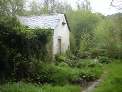 DSCN4175 DSCN4175