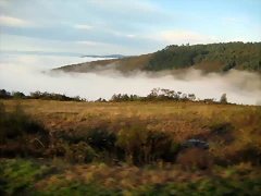 IMG_0346 IMG_0346