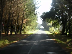 DSCN9783 DSCN9783