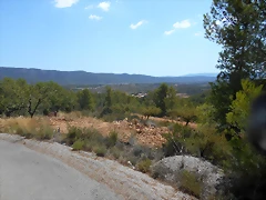 DSCN0484 DSCN0484