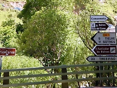 DSCN3099 DSCN3099