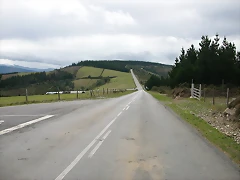 DSCN3126 DSCN3126