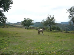 DSCN3122 DSCN3122