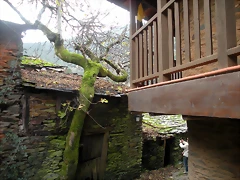 DSCN1138 DSCN1138