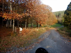 DSCN0518 DSCN0518