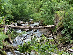 IMG_7561 IMG_7561