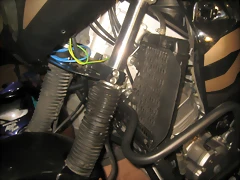 IMG_3410 IMG_3410