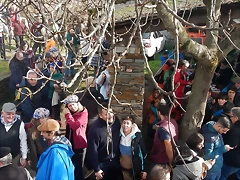 DSCN3184 DSCN3184