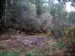 IMG_0516 IMG_0516