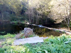 DSCN9119 DSCN9119