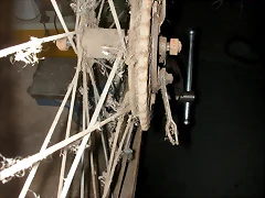 DSCN7754 DSCN7754