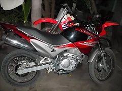 nx4 falcon