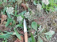 IMG_20160924_163250 IMG_20160924_163250