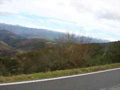 DSCN7877
