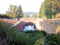 DSCN9527'1 DSCN9527'1