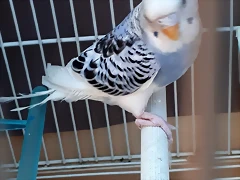 20190915_131016