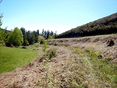 DSCN4529 DSCN4529