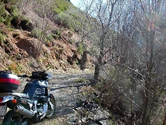 DSCN7989 DSCN7989