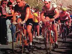 TOUR 1975-MERCKX