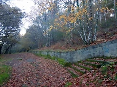 DSCN8981 DSCN8981