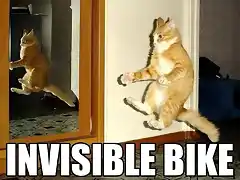 bici-invisible