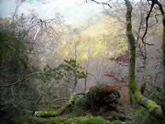 DSCN0690 DSCN0690