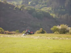 DSCN2125 DSCN2125