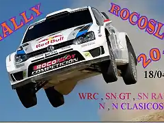 4 RALLY MUNDIAL 2015