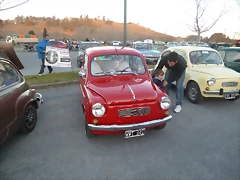 P1030224 P1030224