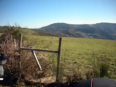 DSCN2913
