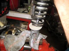 IMG_1037 IMG_1037