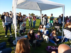 P1020561 P1020561