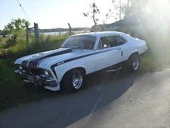 SDC14677