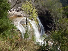 DSCN1942 DSCN1942
