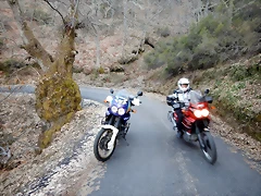 DSCN3262 DSCN3262