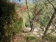 DSCN3968 DSCN3968