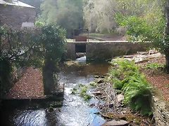 DSCN3964 DSCN3964