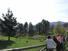 R0012321 R0012321