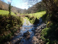 DSCN9063.JPEG DSCN9063.JPEG