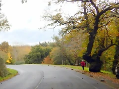 DSCN1233 DSCN1233