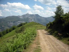DSCN3898 DSCN3898